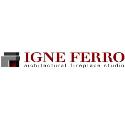 Igne Ferro Fireplace Studio company logo