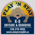 Play and Stay K-9 Daycare and Boarding company logo