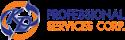 KD Professional Services company logo