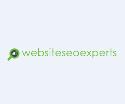 Website SEO Experts company logo