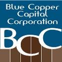 Blue Copper Capital company logo