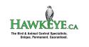 Hawkeye Bird & Animal Control company logo