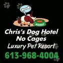 Chris's Dog Hotel No Cages Luxury Pet Resort company logo