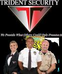 Trident Security Services Inc. company logo