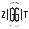 Ziggit Style company logo