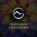 Caledonia Crosstown Dental Centre company logo