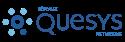 Quesys IT Consultants company logo