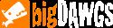 bigDAWGS Promotions company logo