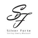 Silver Forte company logo