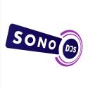 Sono DJs Services company logo