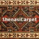 Shenasi Carpet company logo