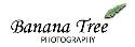 Banana Tree Photography company logo