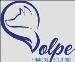 Volpe Financial Solutions