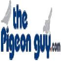 The Pigeon Guy company logo