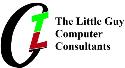 The Little Guy Computer Consultants company logo