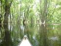 Minesing Wetlands Conservation Area company logo