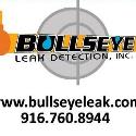 Bullseye Leak Detection, Inc. company logo