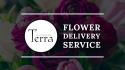 Terra Plants & Flowers company logo