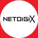 Netdigix Systems Inc company logo