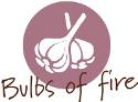 Bulbs of Fire company logo