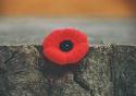 Royal Canadian Legion - Branch 80 company logo