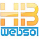 HB Websol company logo