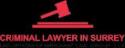 Criminal Lawyer in Surrey company logo