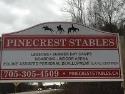 Pinecrest Stables company logo