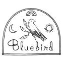 Bluebird Laser Hair Removal company logo