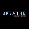 Breathe Salt Wellness company logo