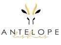 Antelope Lashes company logo