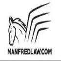 Manfred Sternberg & Associates company logo