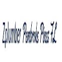 1st Plumber Dallas TX Company company logo