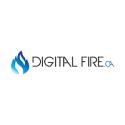 Digital Fire company logo