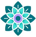 Spiritual Sync company logo