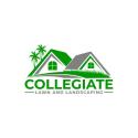 Collegiate Lawn and Landscaping company logo