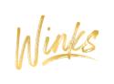 Winks Photo Booth company logo