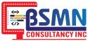 Bsmnconsultancy company logo