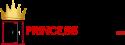 Princess Glass Inc company logo