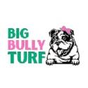 Big Bully Turf company logo