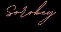 Soroby Psychology company logo