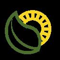 Narra Counselling & Consulting company logo
