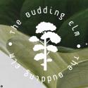 The Budding Elm company logo