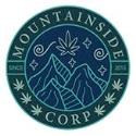 Mountainside company logo