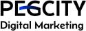 PegCity Digital Marketing company logo