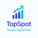 TopSpot-AI company logo