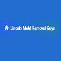 Lincoln Mold Removal Guys company logo