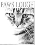 PAWS LODGE CATTERY company logo