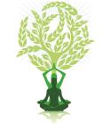 Yoga Heal Richmond Hill company logo