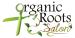 Organic Roots Salon